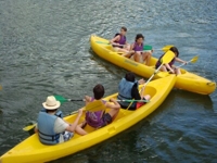 Image 15